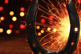 Preparing your pet for Bonfire Night Photo: Adobe Stock/Thaut Images
