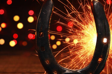 Preparing your pet for Bonfire Night Photo: Adobe Stock/Thaut Images