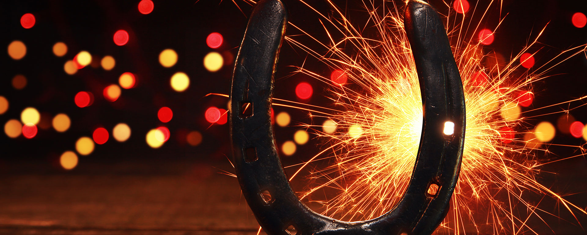 Preparing your pet for Bonfire Night