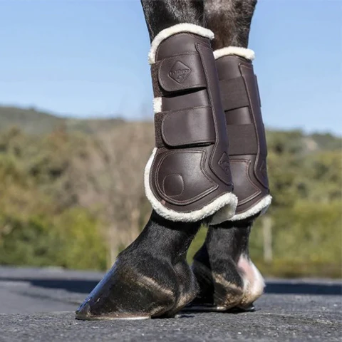 A Guide To Horse Boots: What Type & Style Should I Choose? – R & R Country  Blog