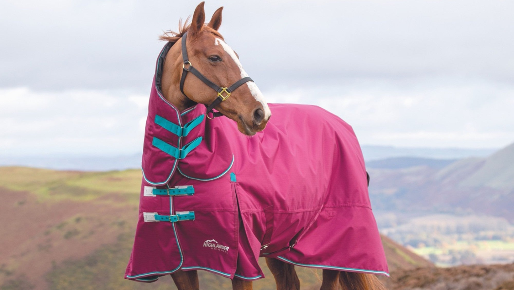 To Rug Or Not To Rug A Guide On Horse Rug Weights R & R Country Blog