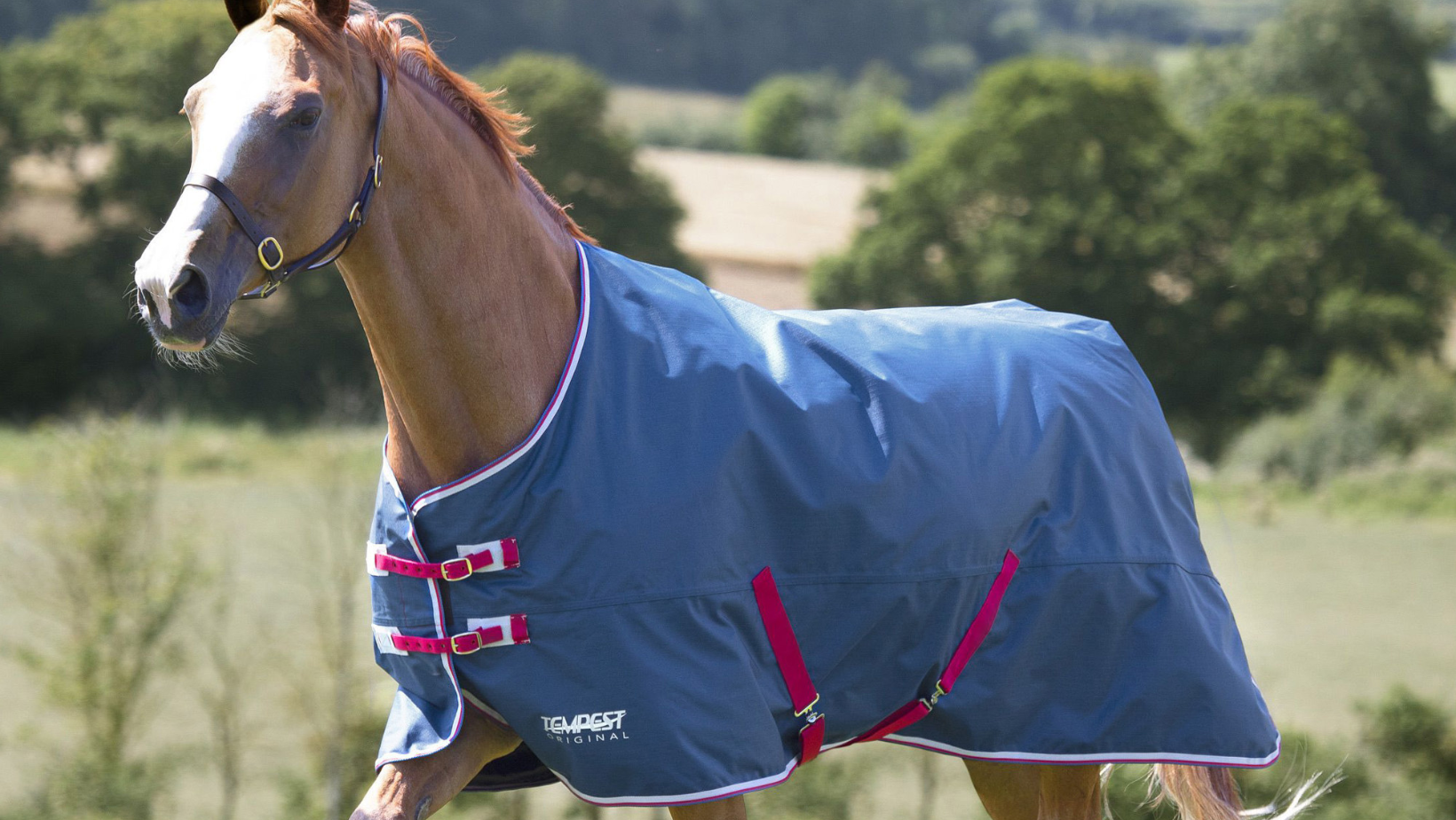 To Rug Or Not To Rug A Guide On Horse Rug Weights R & R Country Blog