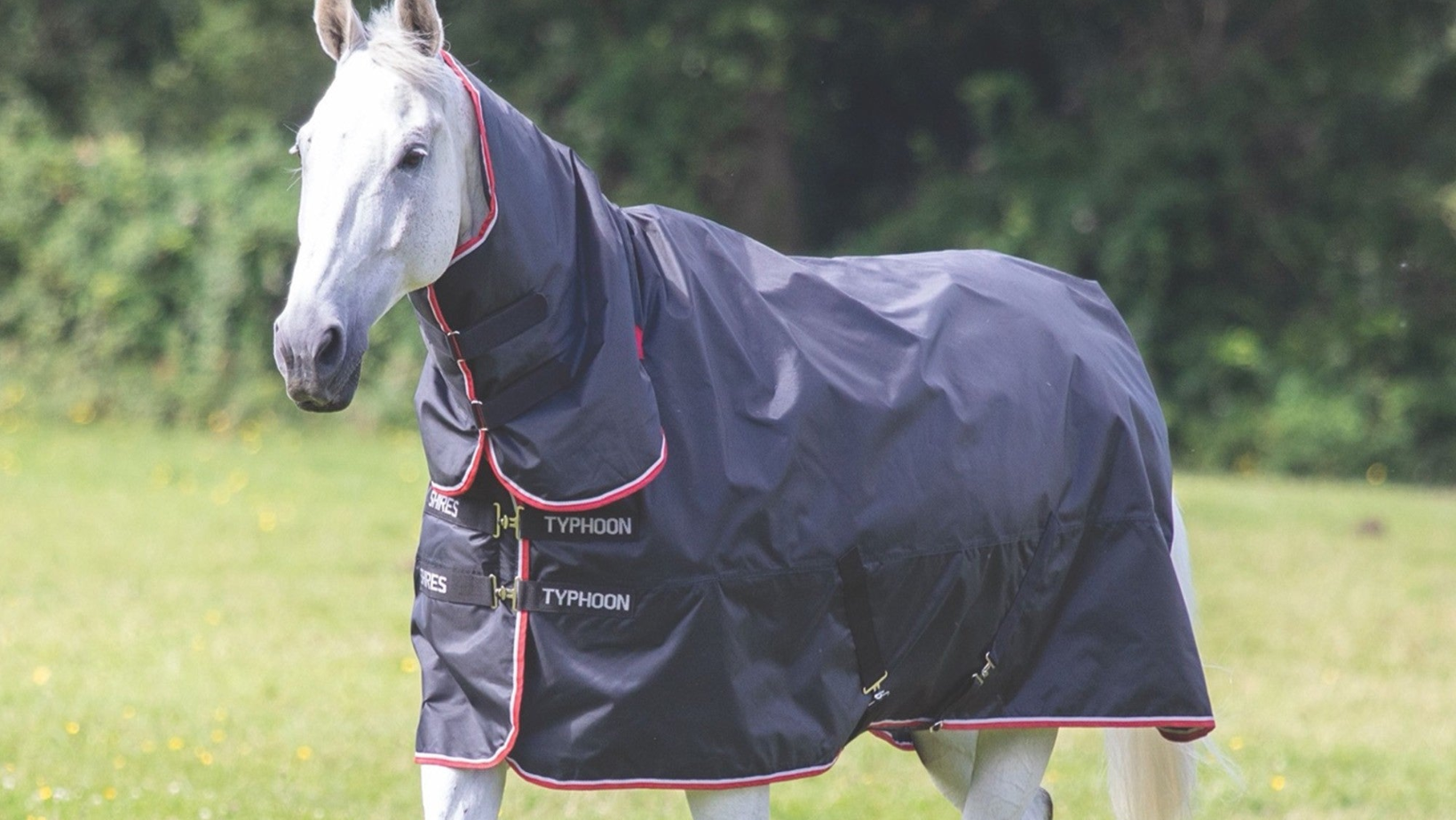 To Rug Or Not To Rug A Guide On Horse Rug Weights R & R Country Blog