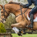 Are your horse’s boots safety tested?