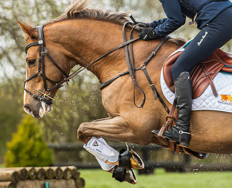 Are your horse’s boots safety tested?