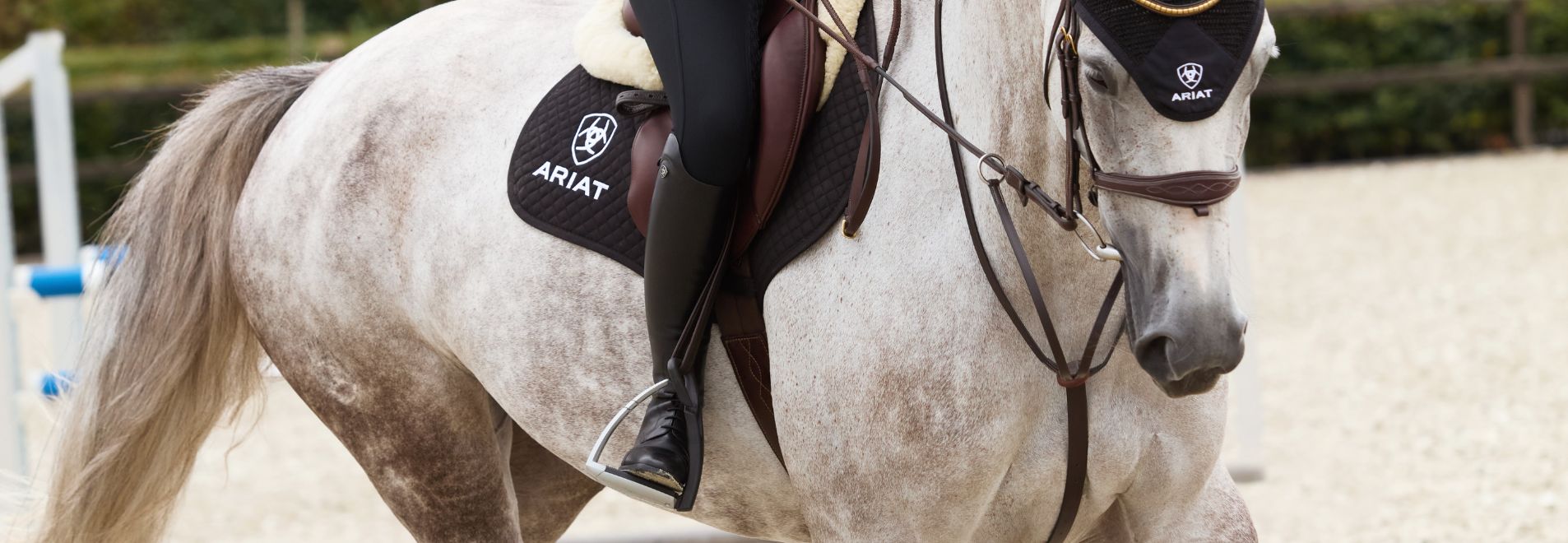 The New Ariat Palisade Boot Collection