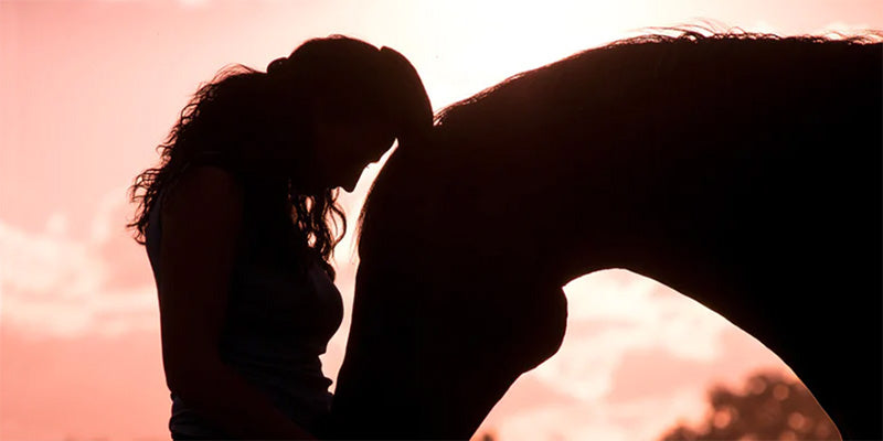 Does My Horse Love Me? 5 Ways Horses Show Affection