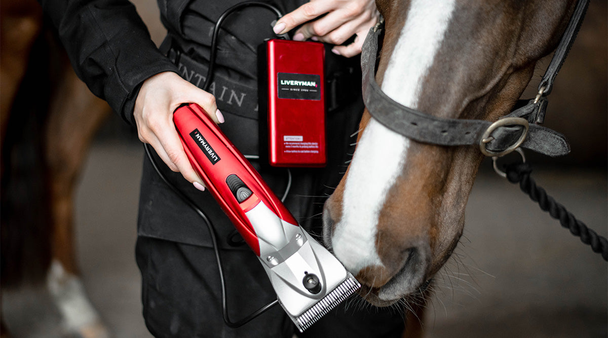 Horse Clipping: Your 'need to know' guide