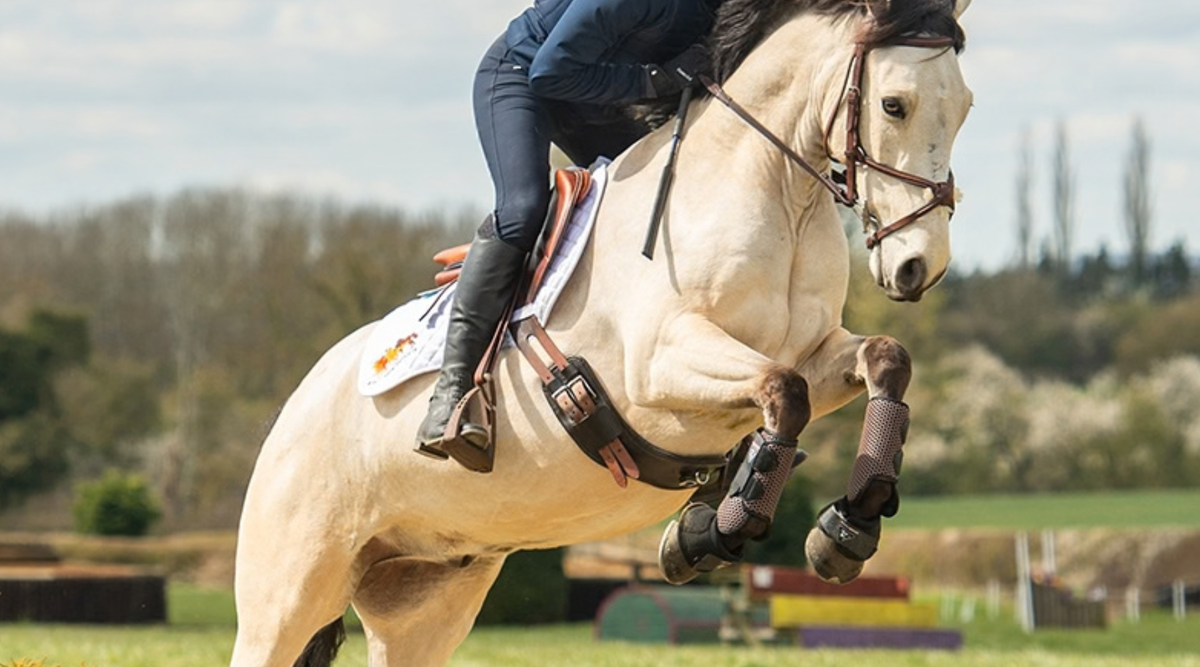 Tried & Tested - Equilibrium All Sports Boots