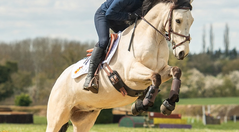 Tried & Tested - Equilibrium All Sports Boots