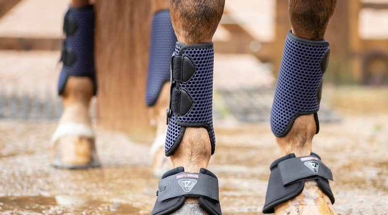 Equilibrium - Choose the right boot for your horse