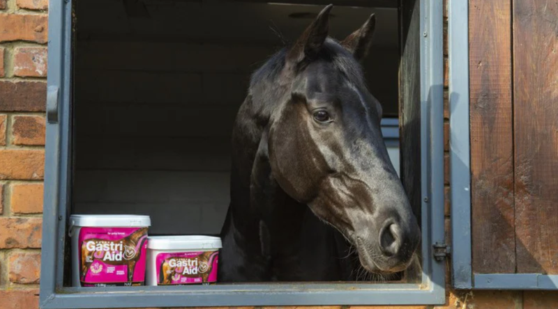 NAF - Be gut ready for the Spring