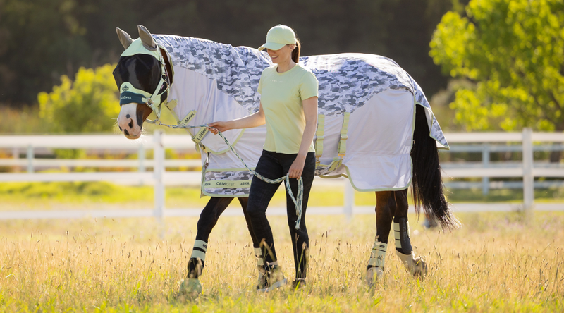 Horse Heatwave Tips: How to Keep Horses Cool in Hot Weather