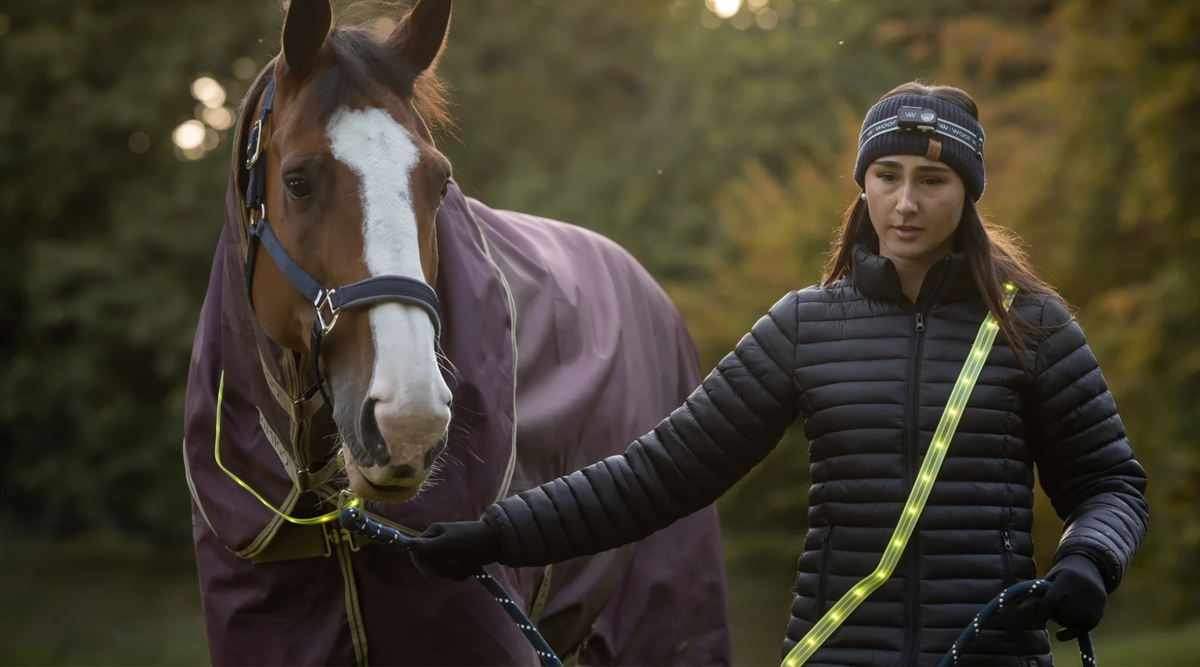 5 Ways To Exercise Your Horse Without Riding