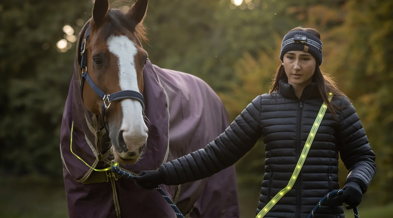 5 Ways To Exercise Your Horse Without Riding