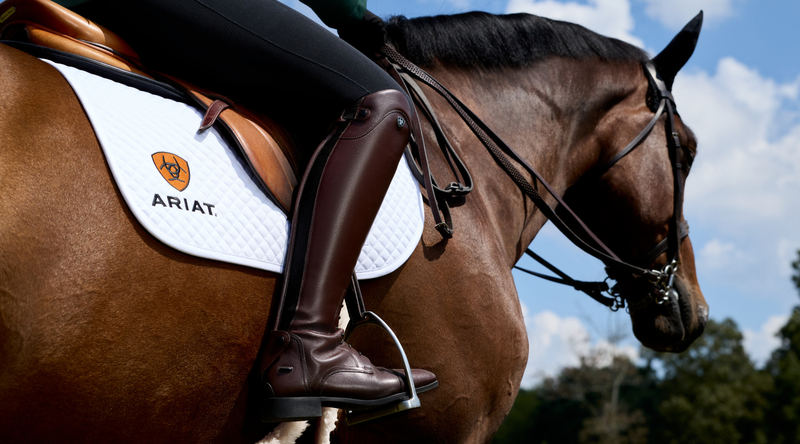 The New Ariat Palisade Boot Collection