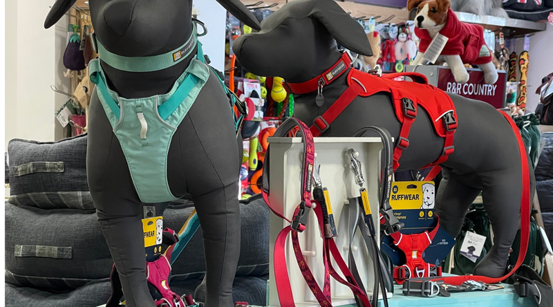 Tried and Tested - Ruffwear Web Master Harness