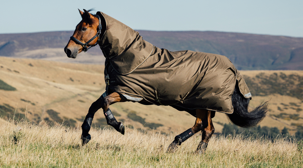 To Rug Or Not To Rug: A Guide On Horse Rug Weights