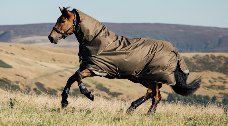 To Rug Or Not To Rug: A Guide On Horse Rug Weights
