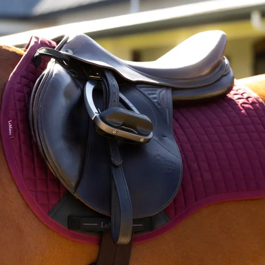 LeMieux Cotton GP Square Pad - Burgundy