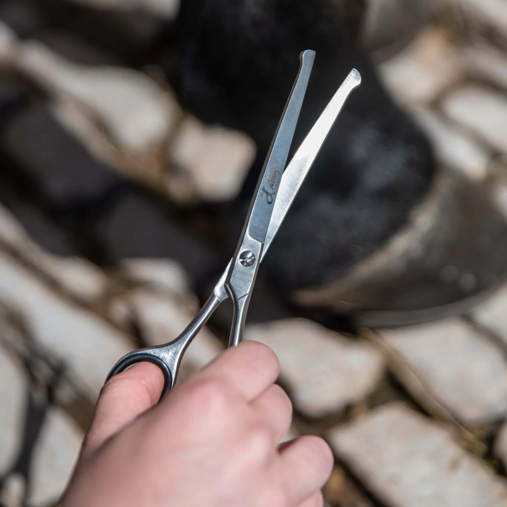Smart Grooming 6 Inch Large Safety Scissors