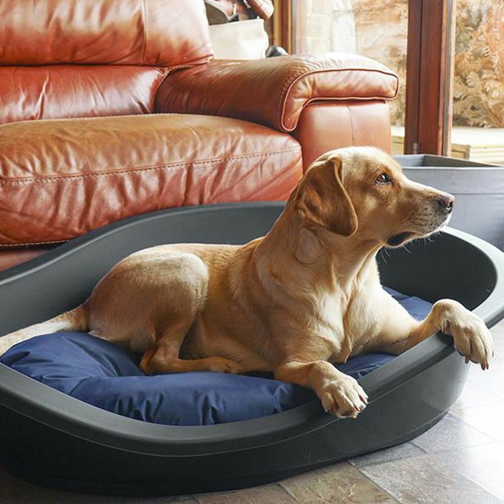 Eco Line Plastic Bed - Graphite Grey