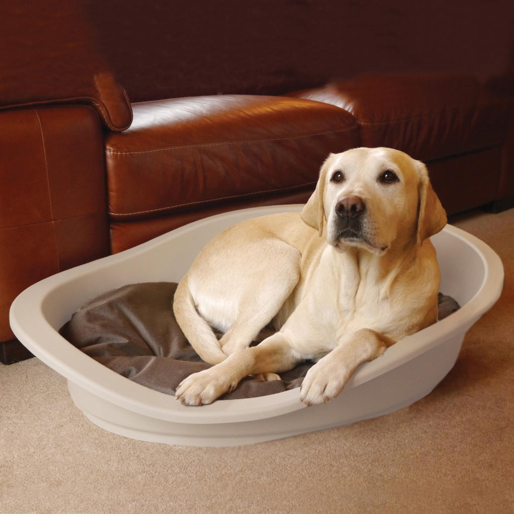 Rosewood Sonny Classic Pet Bed - Mocha