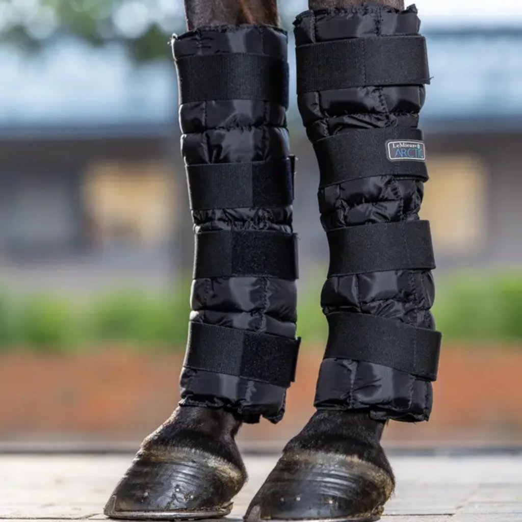 LeMieux Arctic Ice Boot - Black