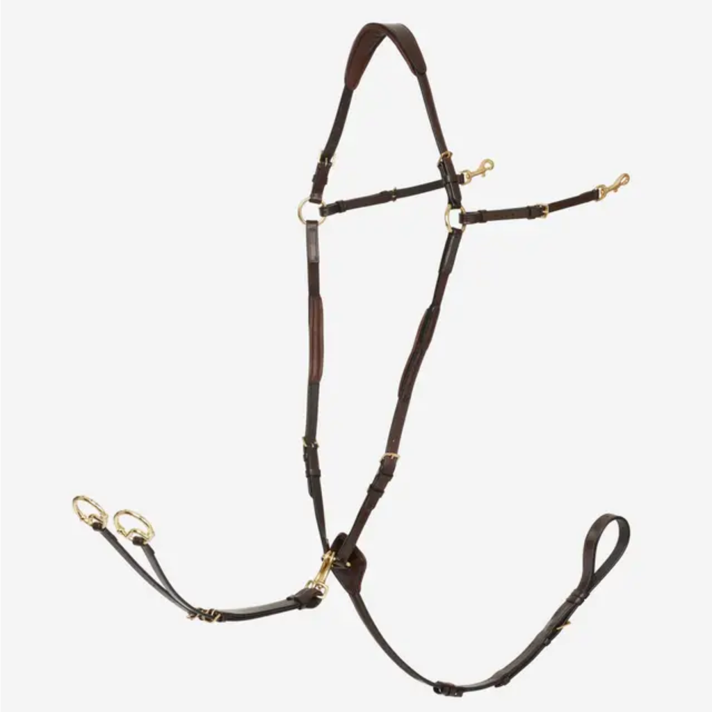 LeMieux Breastplate D-Ring Attachment with Detachable Martingale - Havana/Brass