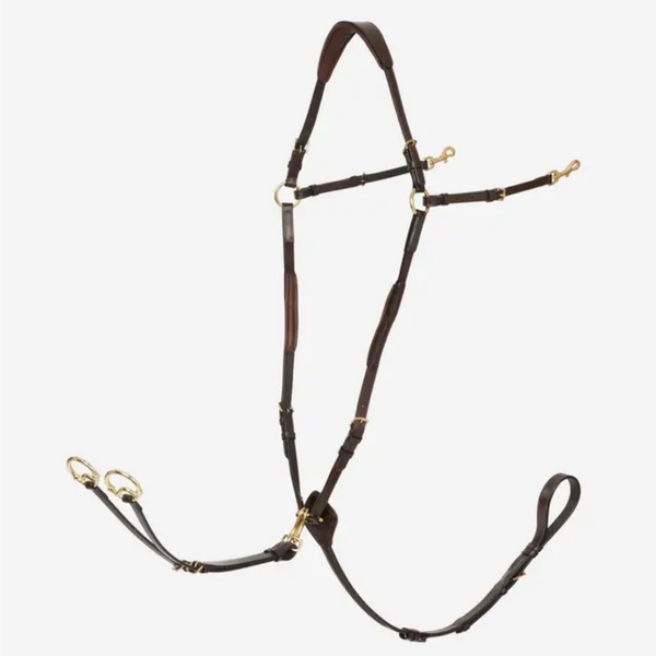LeMieux Breastplate D-Ring Attachment with Detachable Martingale - Havana/Brass