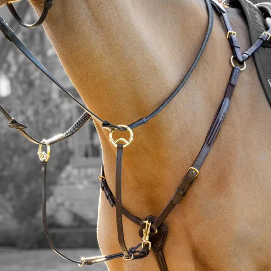 LeMieux Breastplate D-Ring Attachment with Detachable Martingale - Havana/Brass