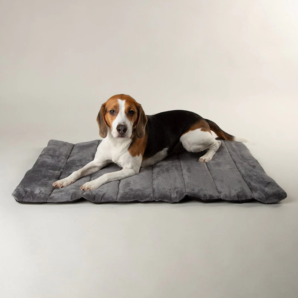 Scruffs Roll Up Travel Pet Bed - Storm Grey