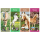 Platinum Slim Calender Set  - Foals, Horses, Donkeys and Ponies