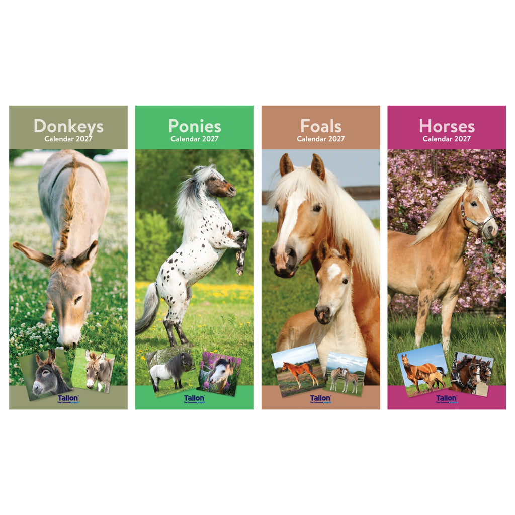 Platinum Slim Calender Set  - Foals, Horses, Donkeys and Ponies