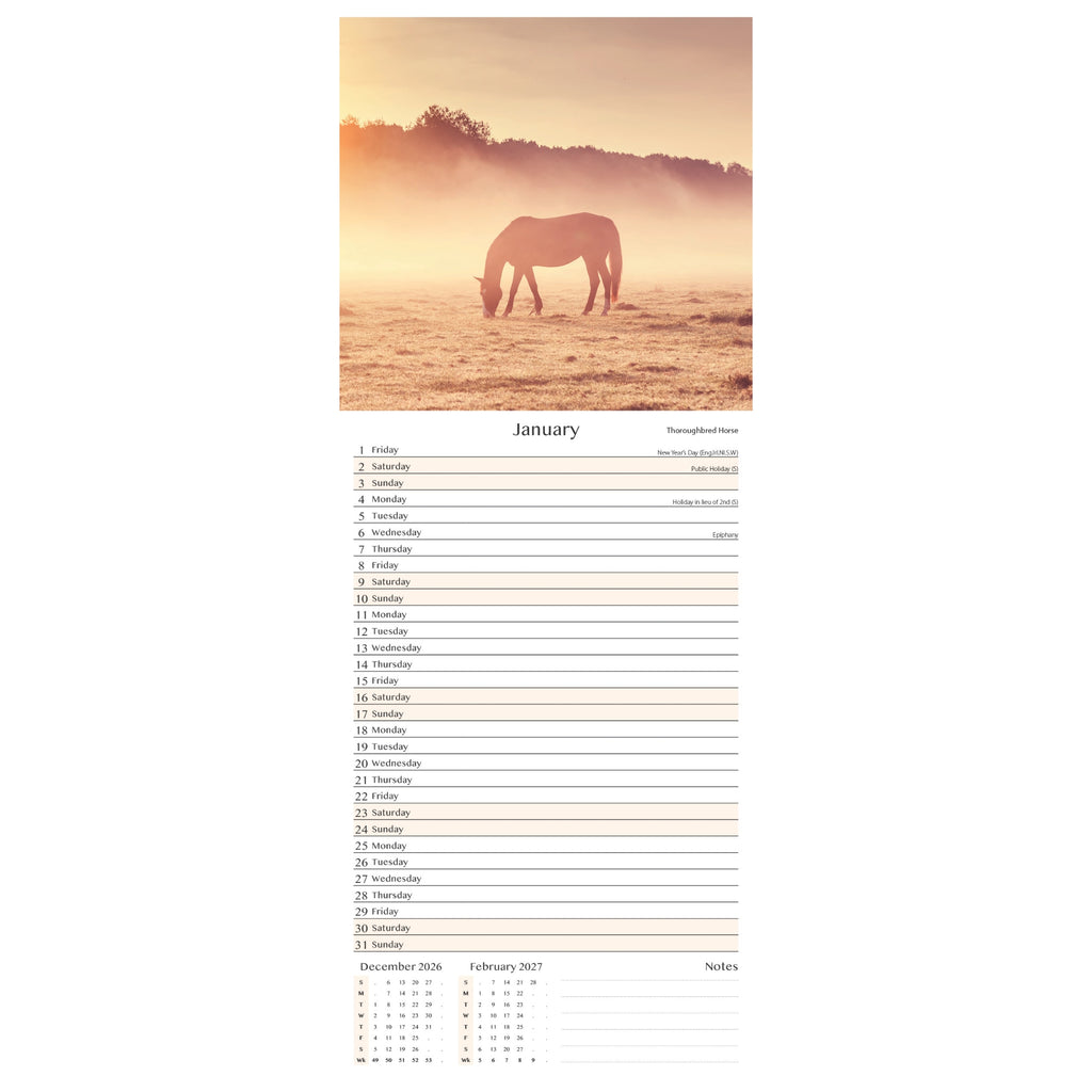 Platinum Slim Calender Set  - Foals, Horses, Donkeys and Ponies