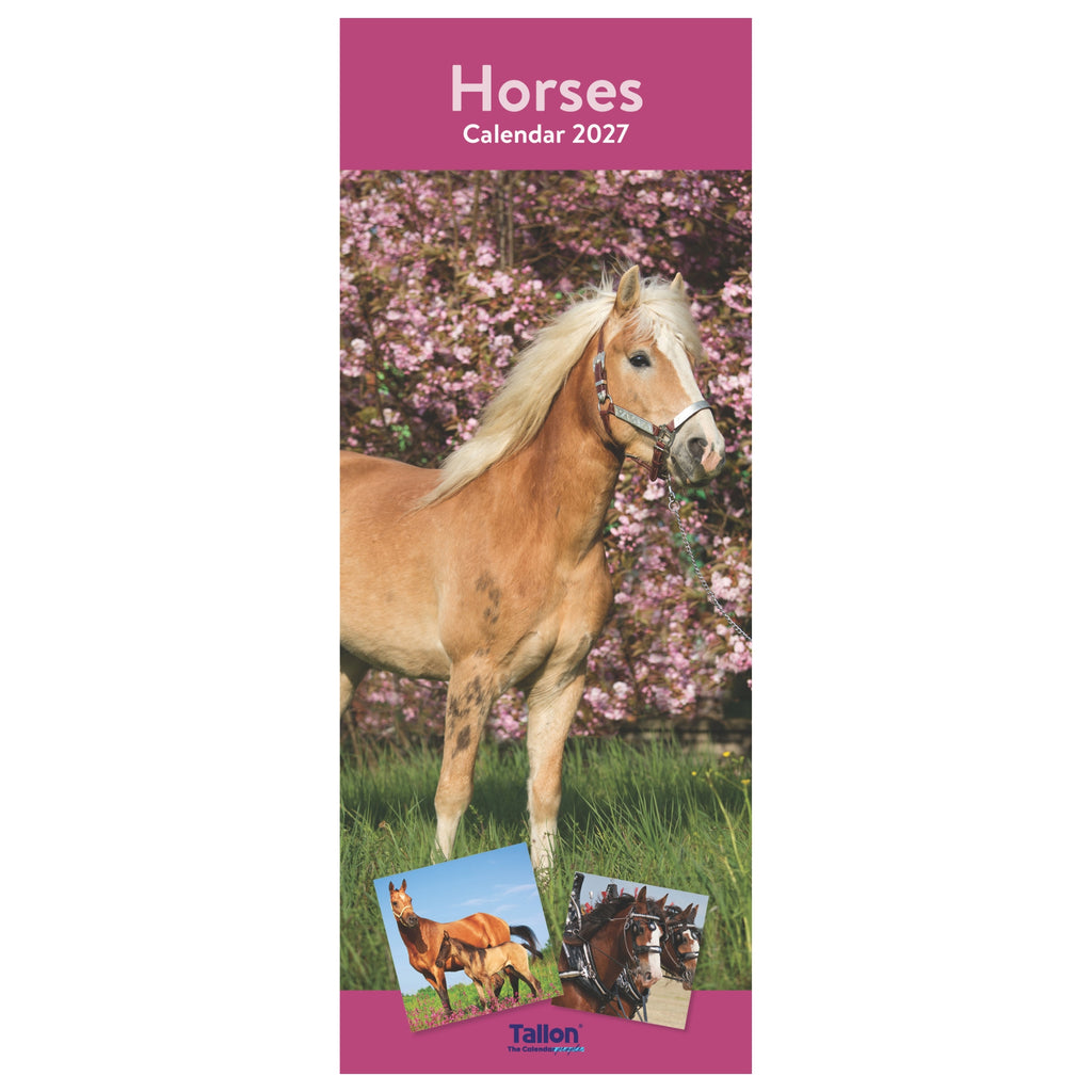 Platinum Slim Calender Set  - Foals, Horses, Donkeys and Ponies