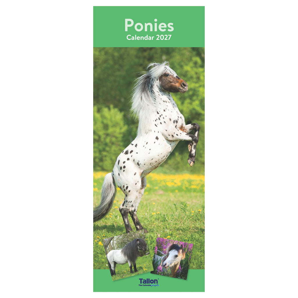 Platinum Slim Calender Set  - Foals, Horses, Donkeys and Ponies