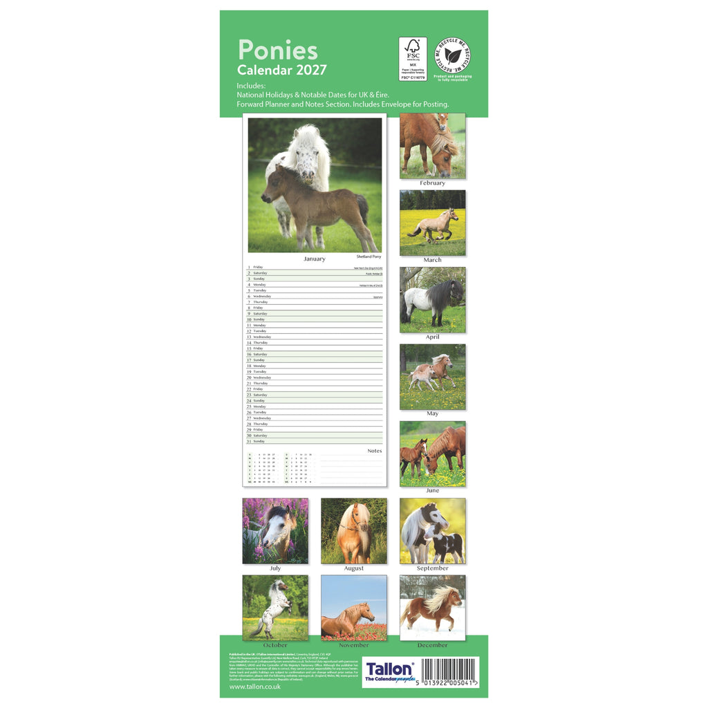 Platinum Slim Calender Set  - Foals, Horses, Donkeys and Ponies
