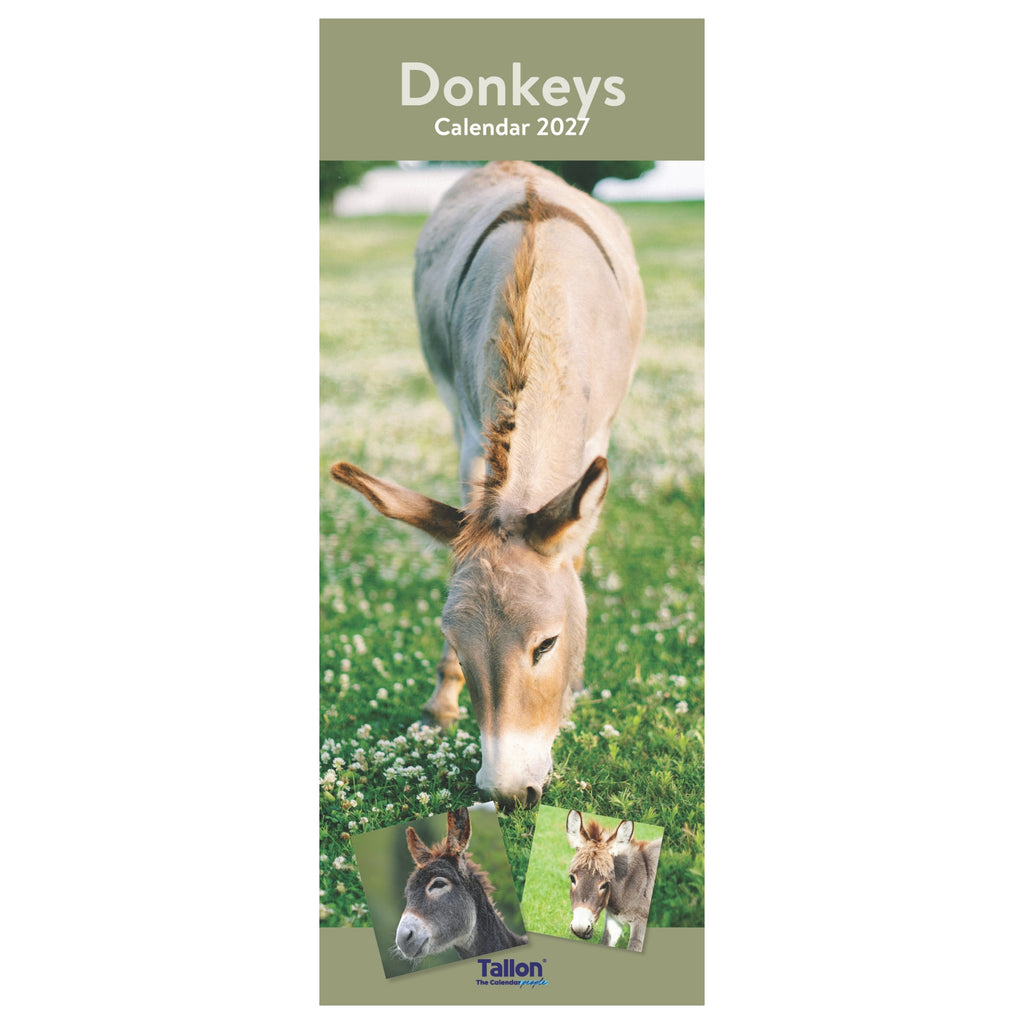 Platinum Slim Calender Set  - Foals, Horses, Donkeys and Ponies