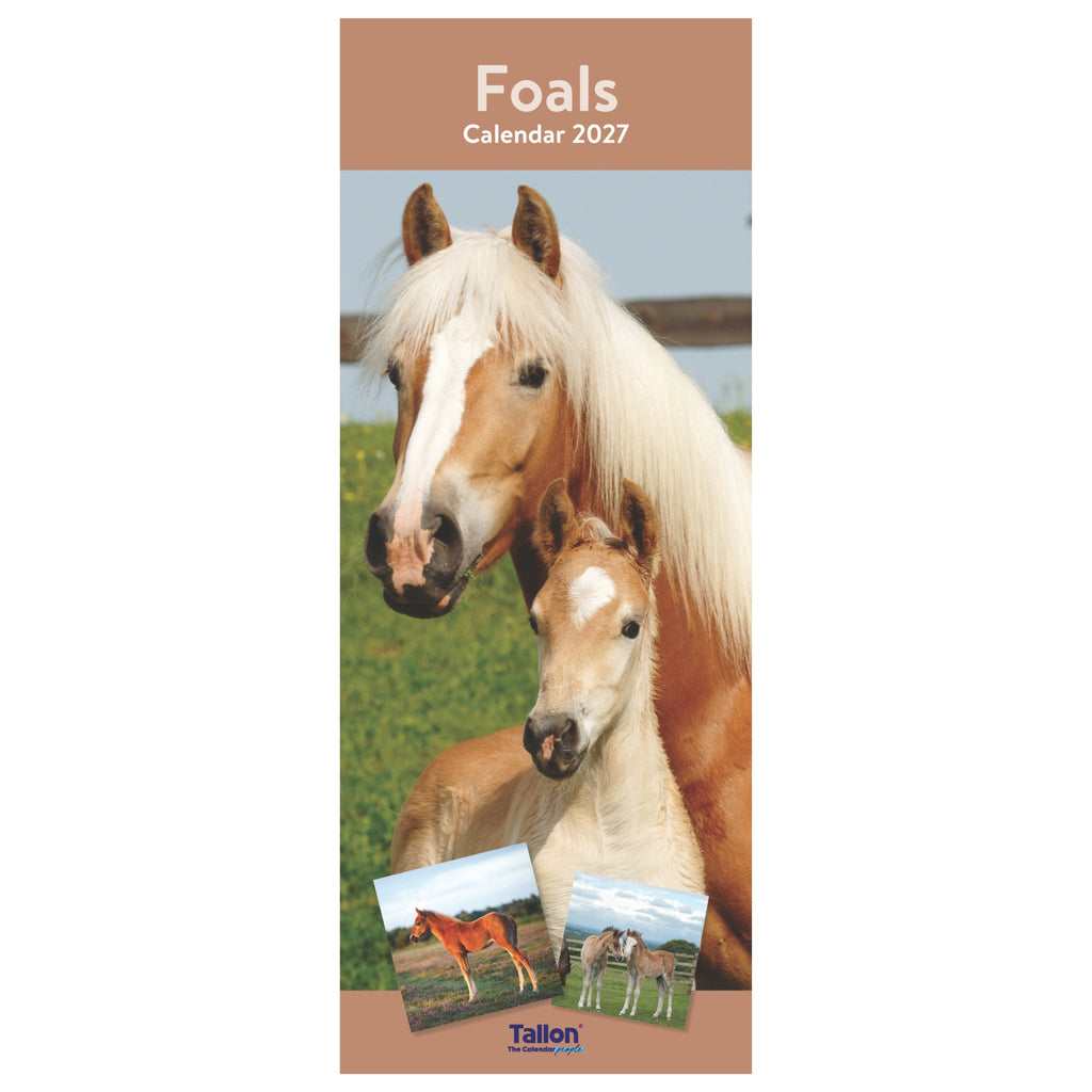Platinum Slim Calender Set  - Foals, Horses, Donkeys and Ponies