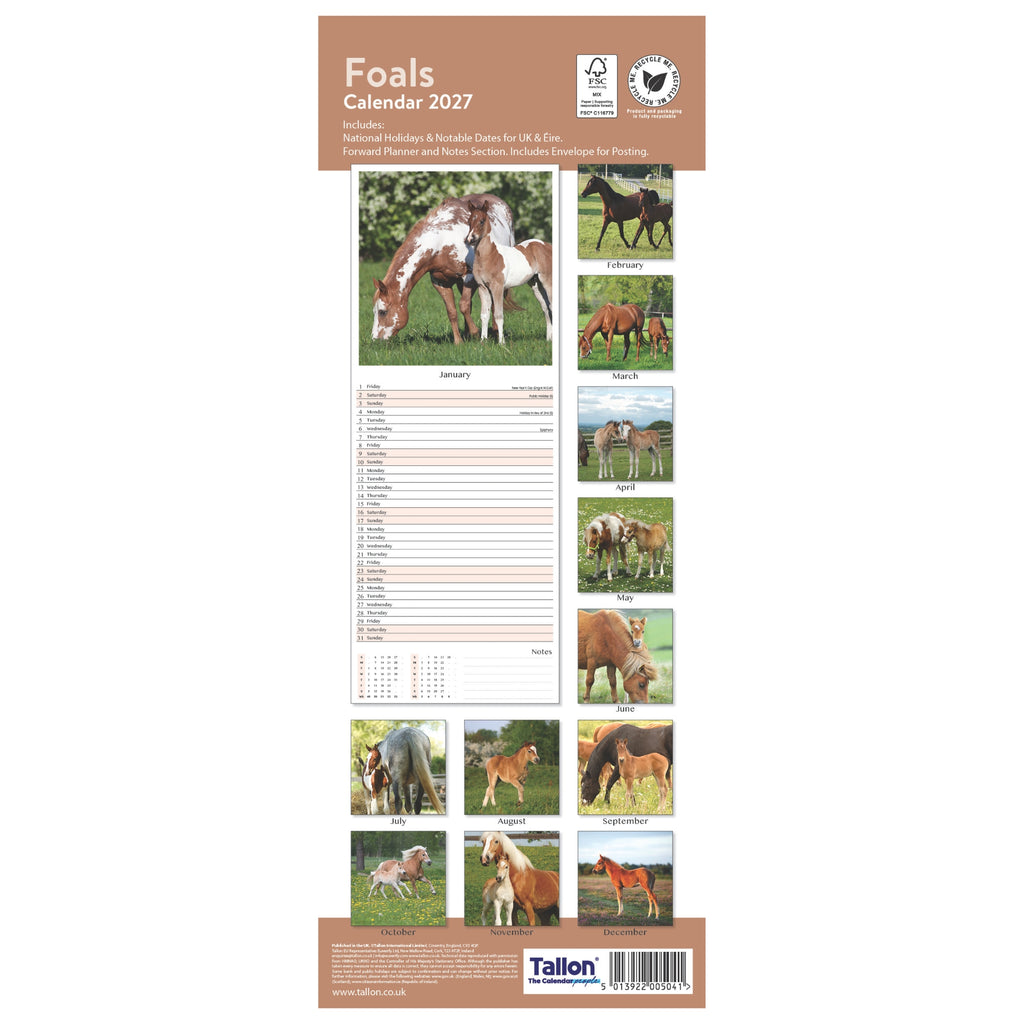 Platinum Slim Calender Set  - Foals, Horses, Donkeys and Ponies