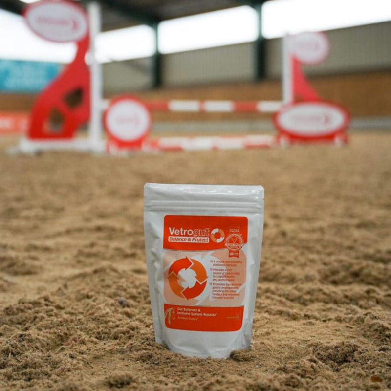 Animalife Vetrogut Balance And Protect - 420g