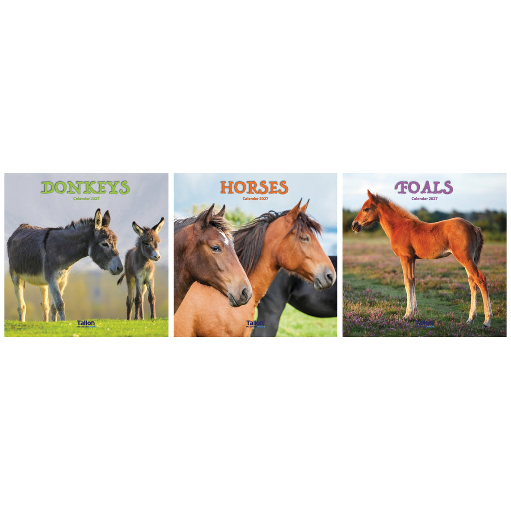 Platinum Square Calendar Set - Horses, Foals, Donkeys and Ponies