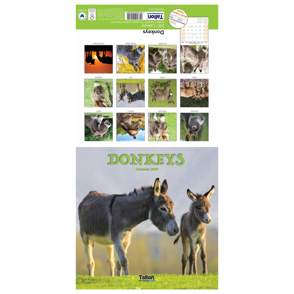 Platinum Square Calendar Set - Horses, Foals, Donkeys and Ponies