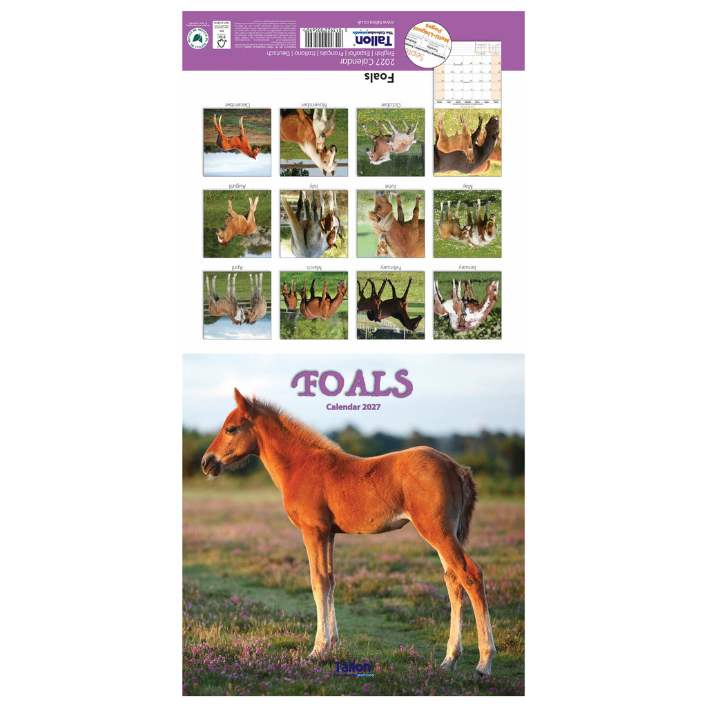 Platinum Square Calendar Set - Horses, Foals, Donkeys and Ponies