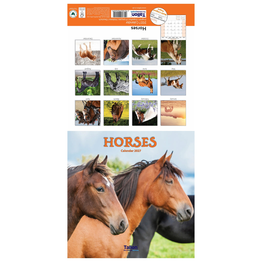 Platinum Square Calendar Set - Horses, Foals, Donkeys and Ponies