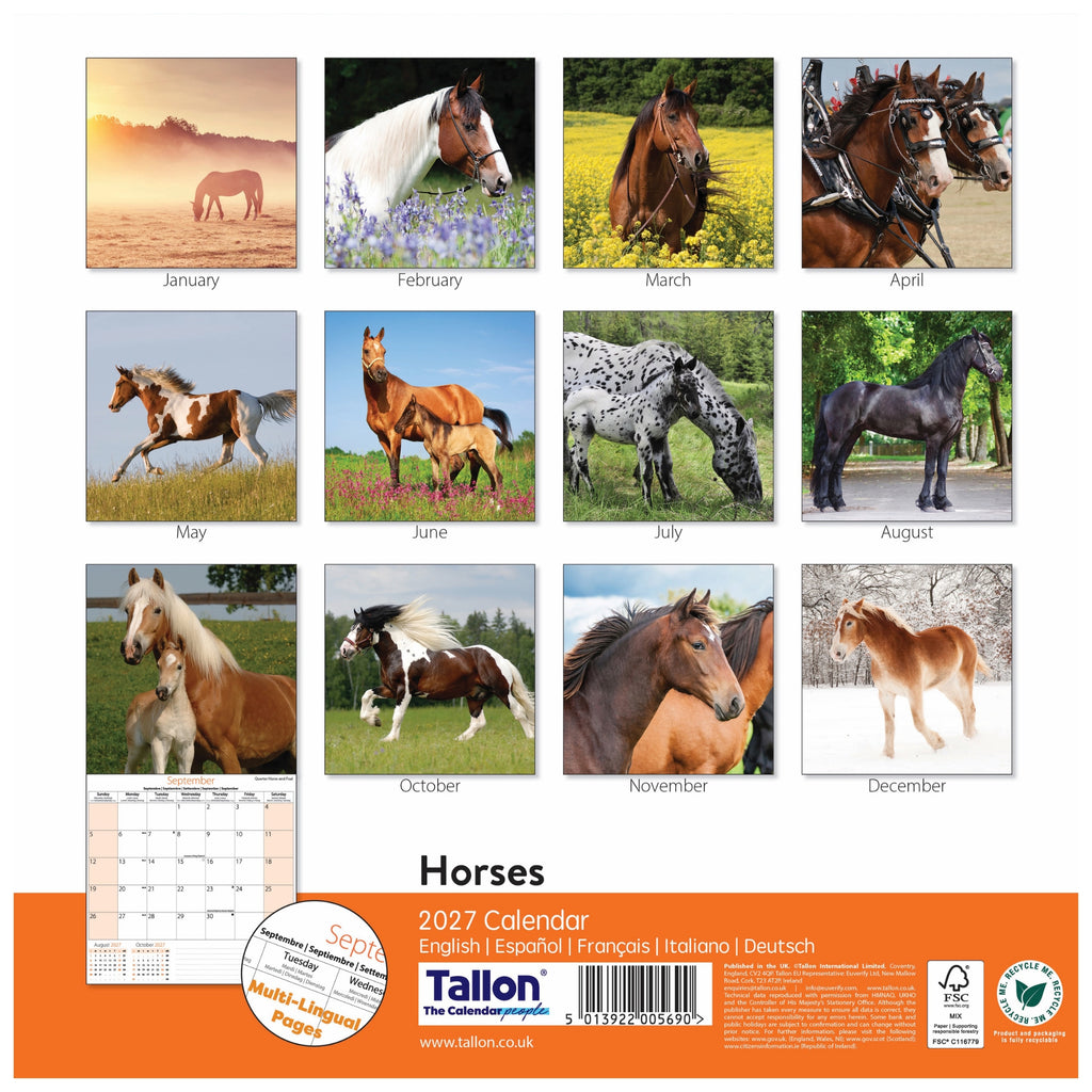 Platinum Square Calendar Set - Horses, Foals, Donkeys and Ponies
