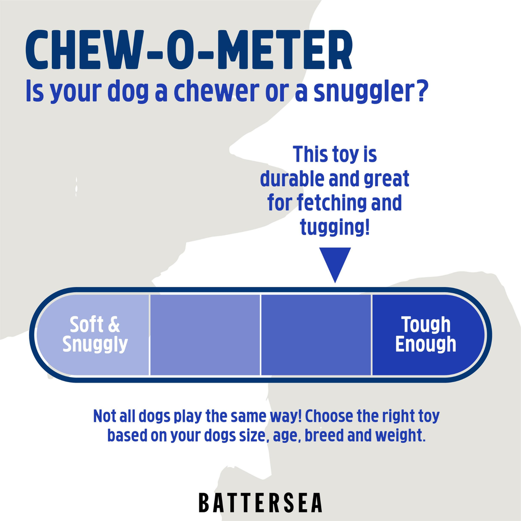 Battersea Flower Tug Toy