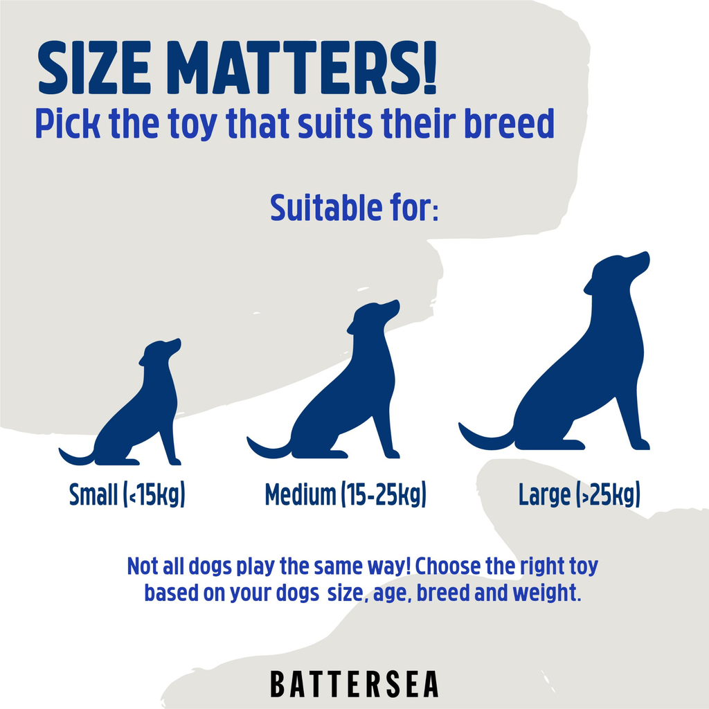 Battersea Crinkle Butterfly