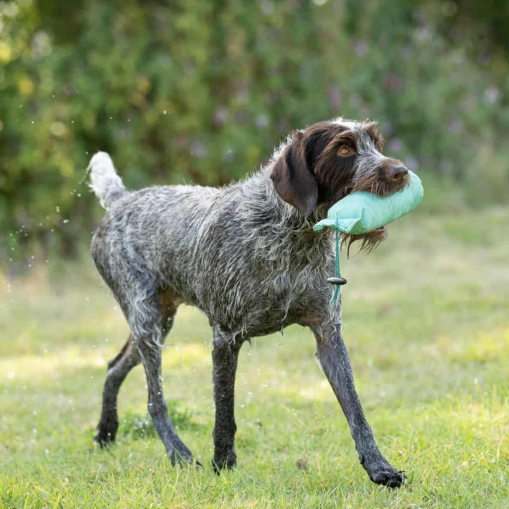 Sporting Saint 1LB Dummy - Green